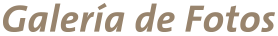 Galeria de Fotos